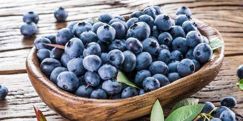 蓝莓的营养价值与功效